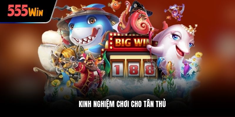 Kinh nghiệm chơi cho tân thủ
